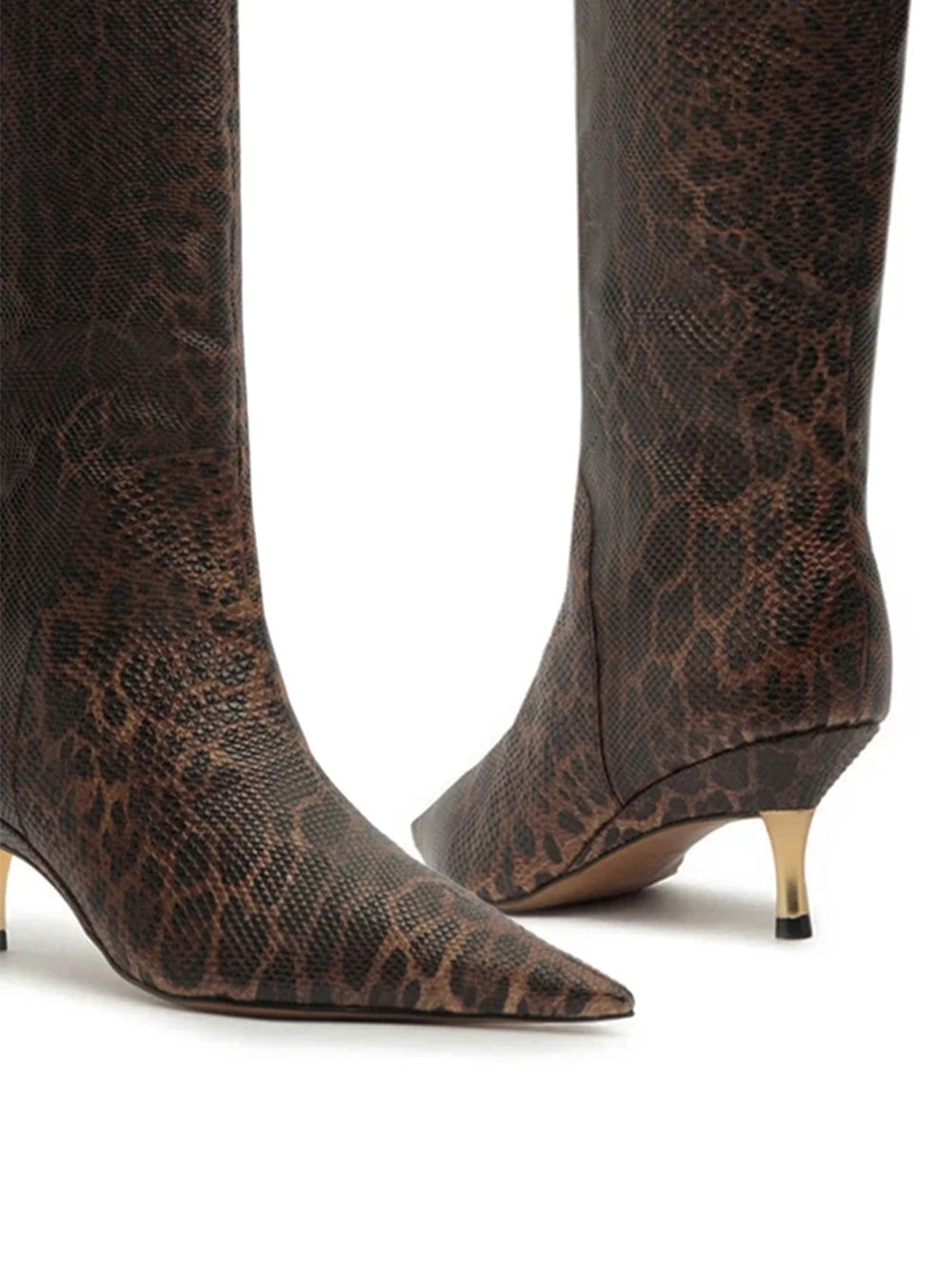 BOTA#AREZZO#A1408000020003#BROWN